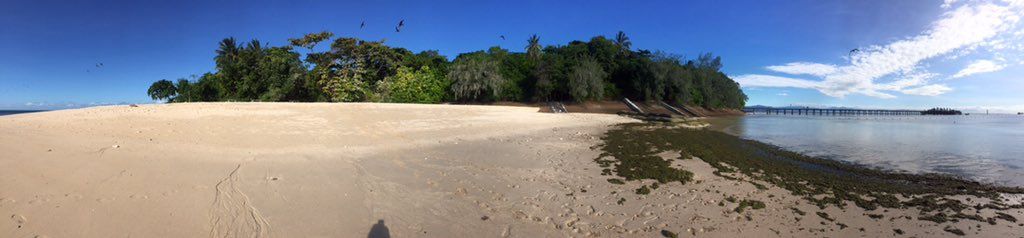 oh my god twitter doesn’t include alt text from images in their API